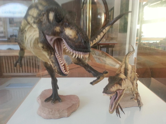 California Oil Museum-Santa Paula必去景点