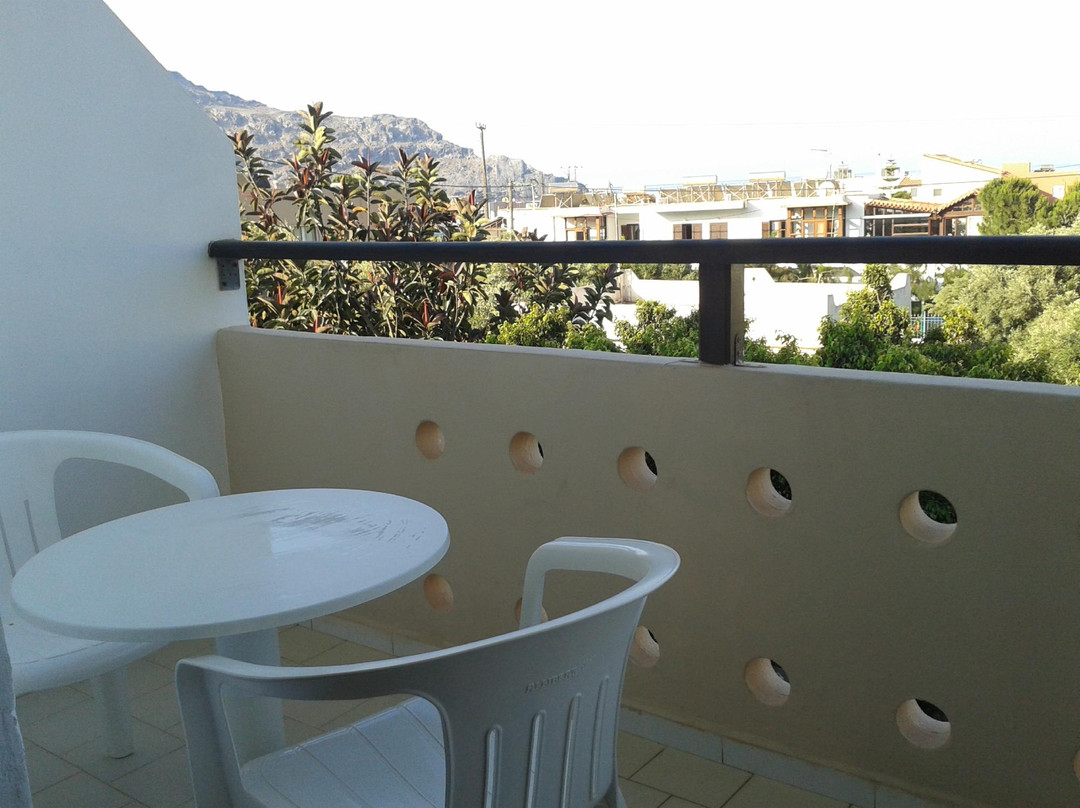 Stella Studios主图