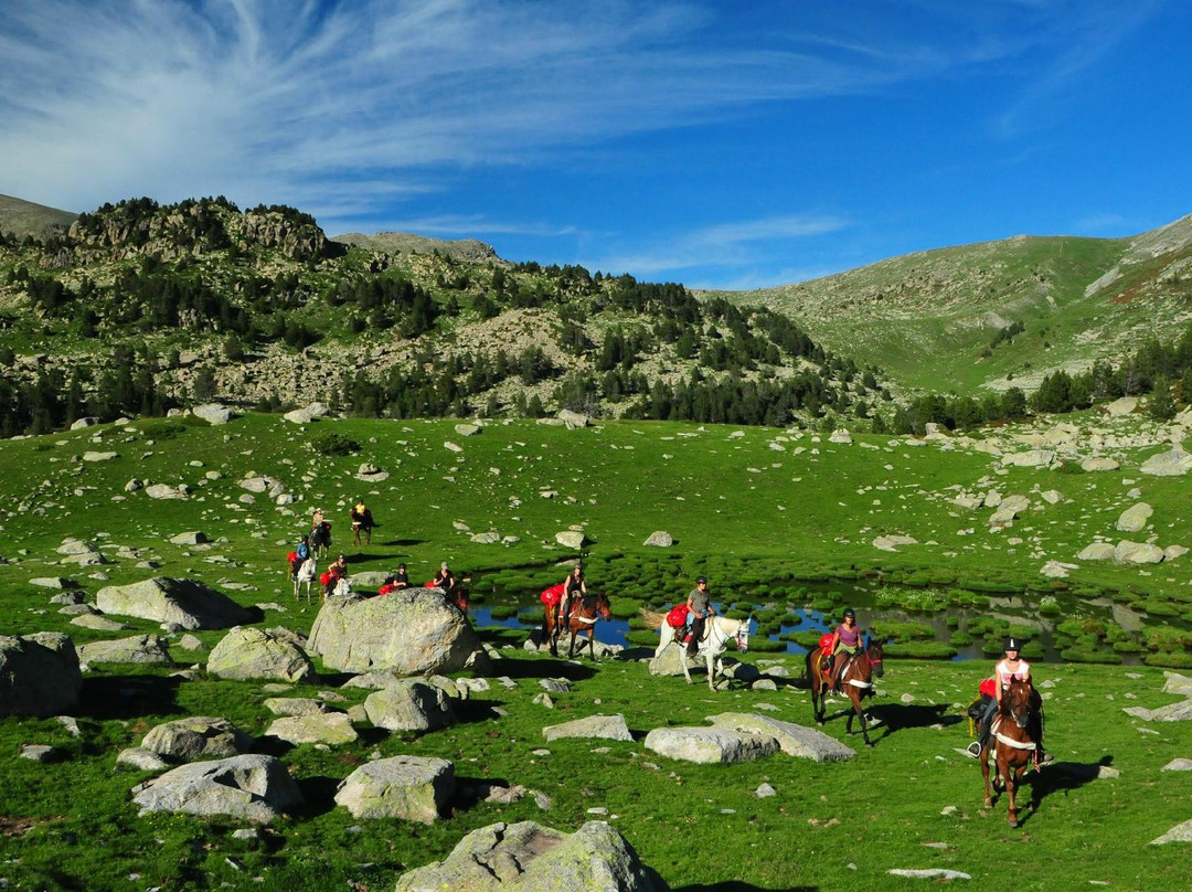 Panorama Trails景点图片