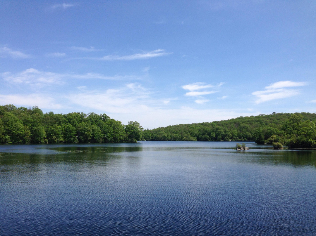 Ramapo Mountain State Forest景点图片