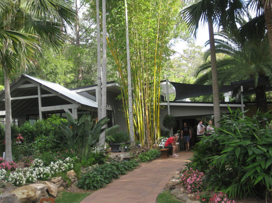 Kenmore餐馆和美食-Wild Canary