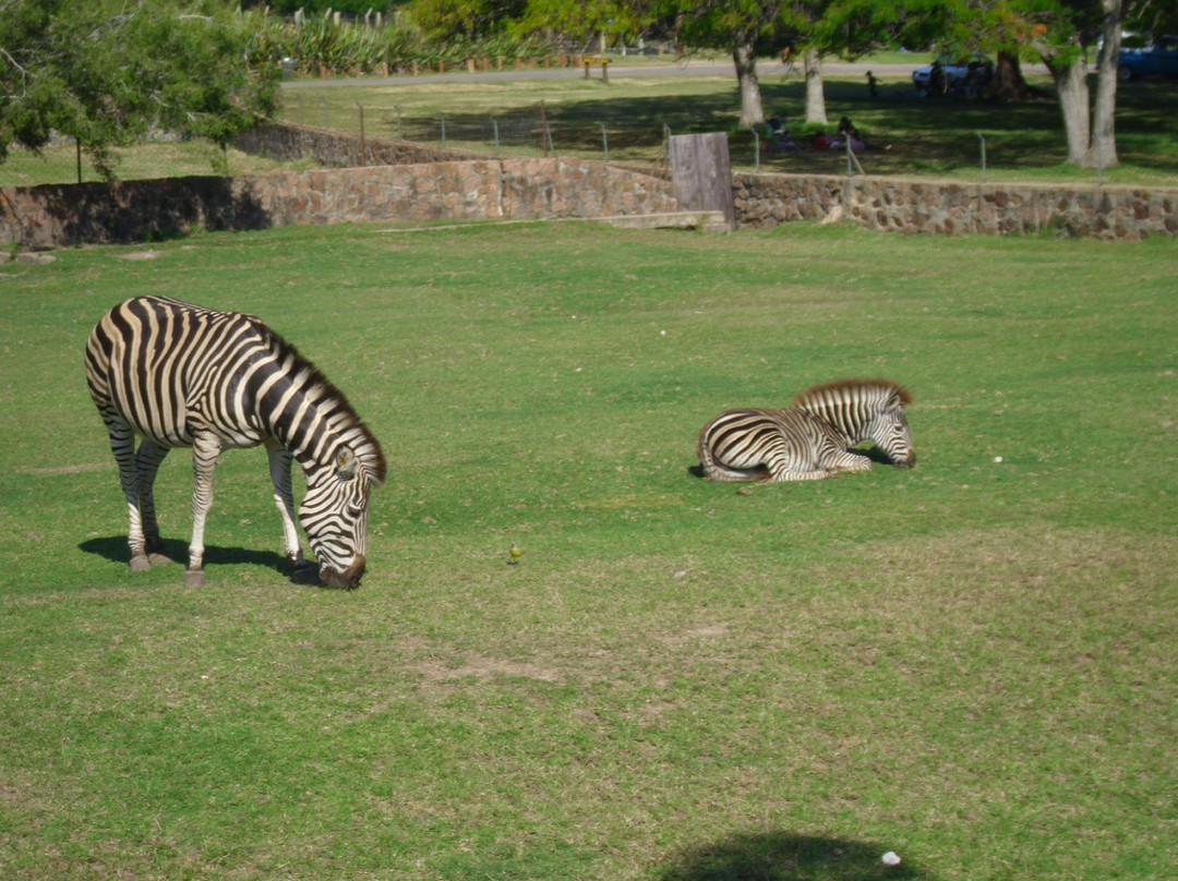 Parque Lecocq-蒙得维的亚必去景点