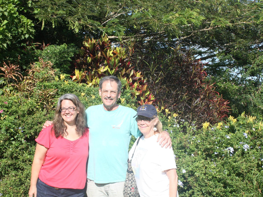 Bird and Butterfly B&B主图