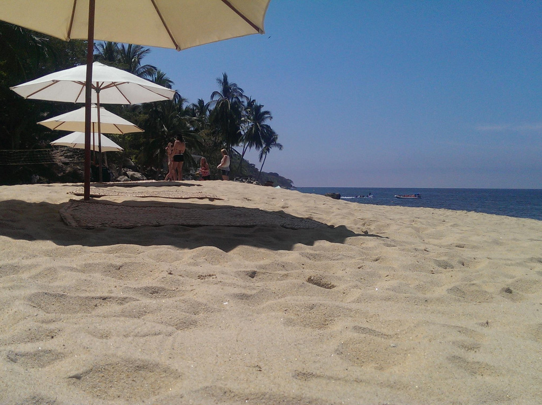 Vallarta Adventures-瓦拉塔港必去景点