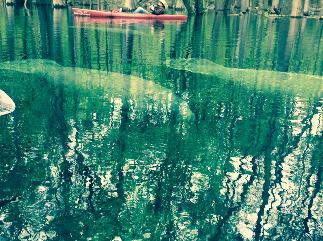 Ichtucknee Family Canoes and Cabins景点图片