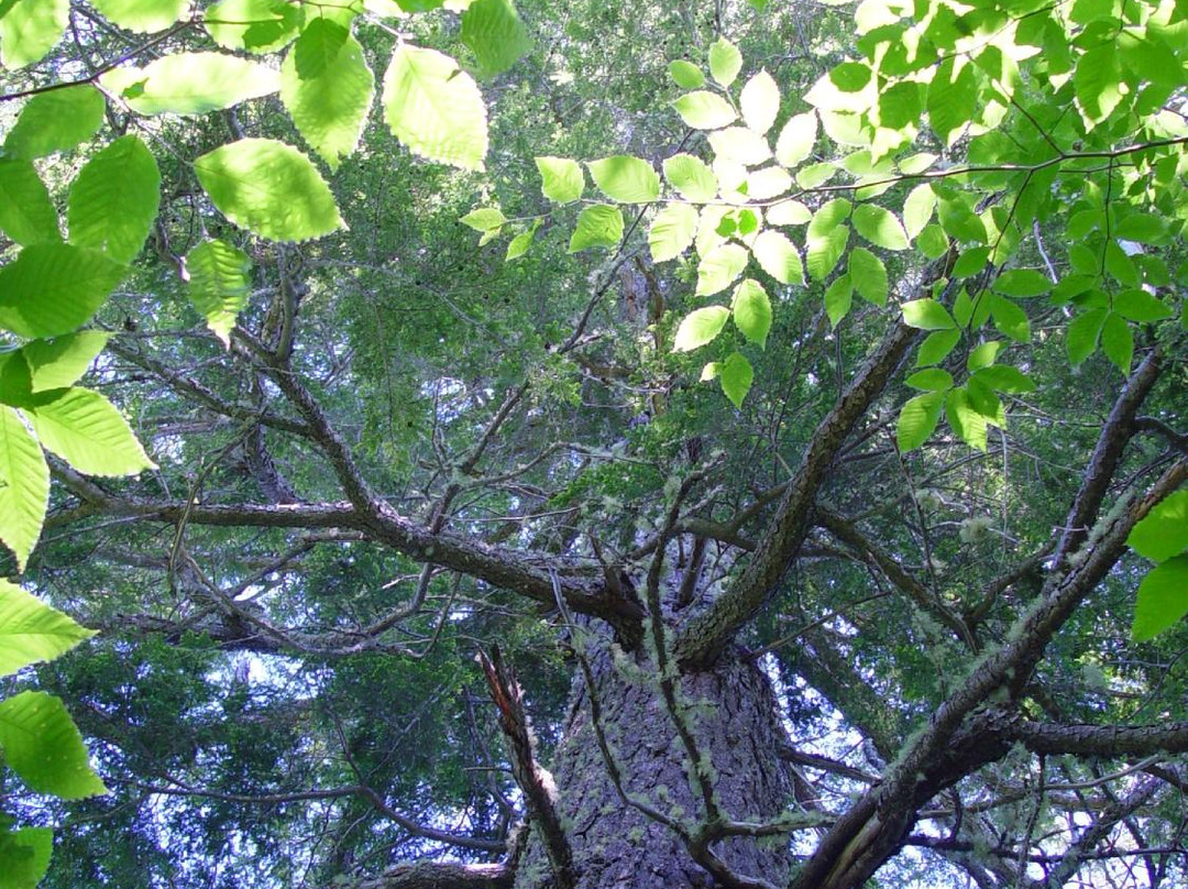 Downeast Lakes Land Trust-Grand Lake Stream必去景点