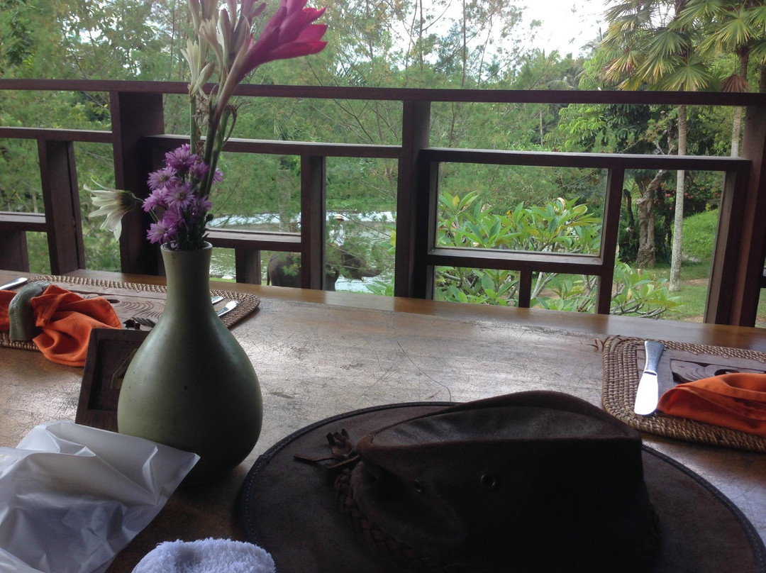 巴厘大象营-Carangsari必去景点