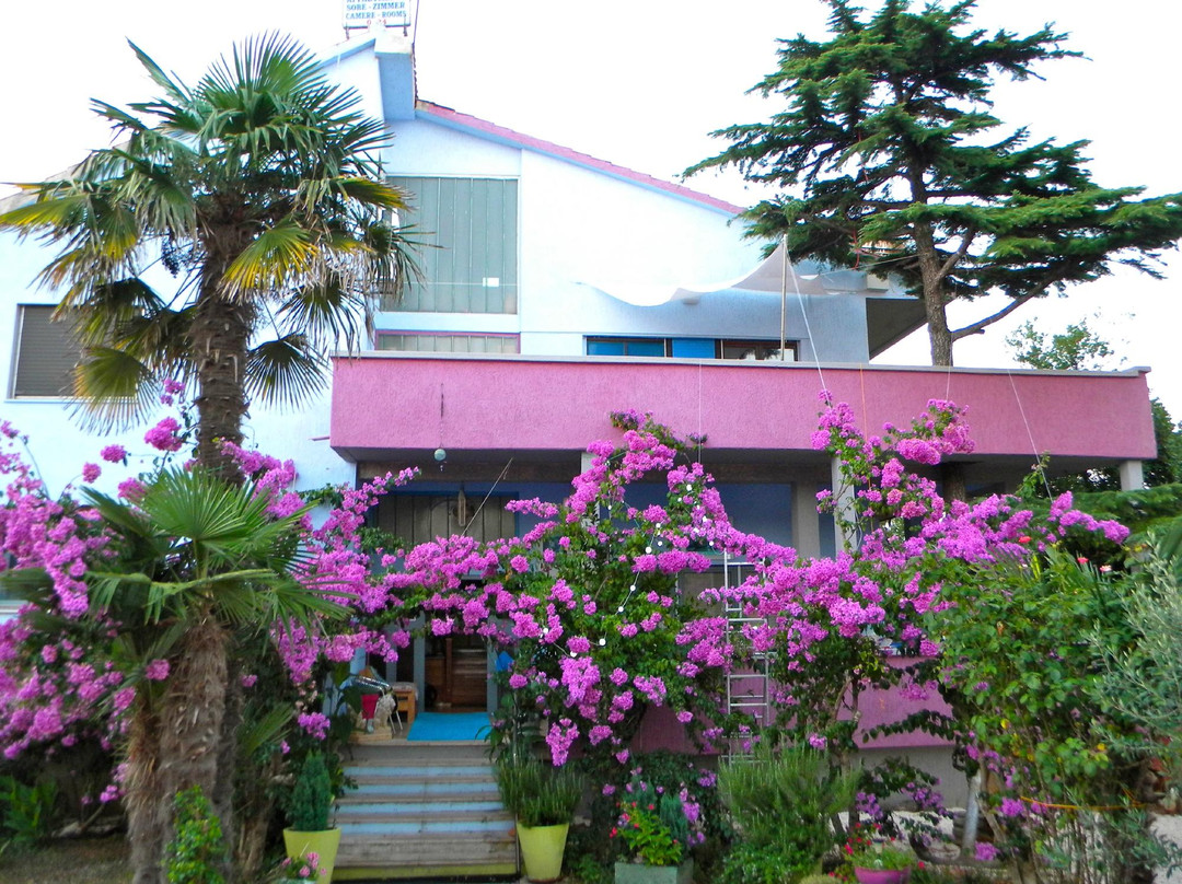 Villa Nataly Premantura主图