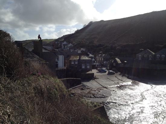 Port Isaac and Portwenn, Walk & Talk Guided Tours