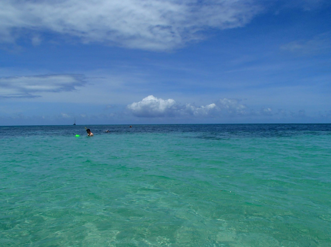 Great Adventures-凯恩斯必去景点