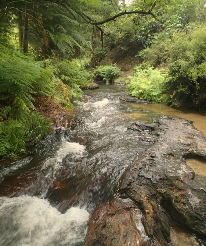 Kerosene Creek景点图片