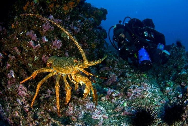 Marenostrum Expediciones