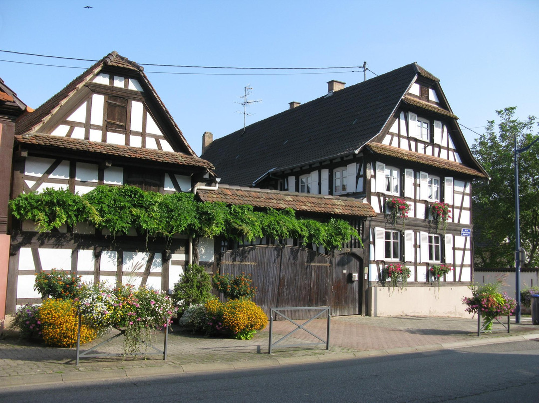 Eckwersheim旅游攻略图片