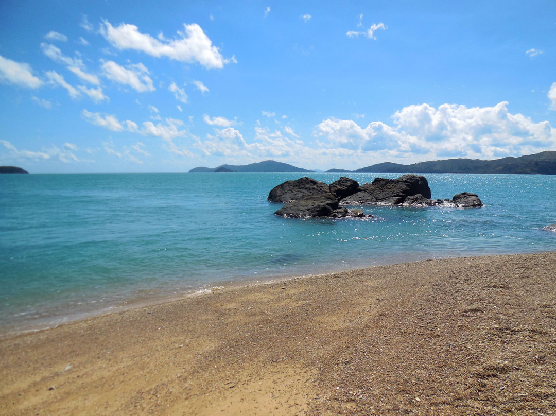 Salty Dog Sea Kayaking - Day Tours-舒特港必去景点