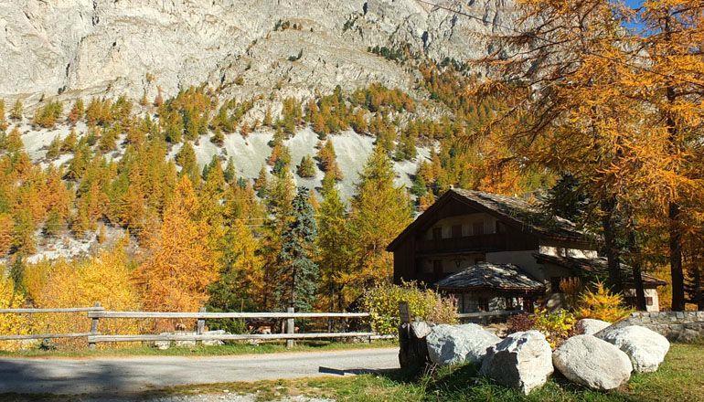 Chalet Lavis Trafford-官方
