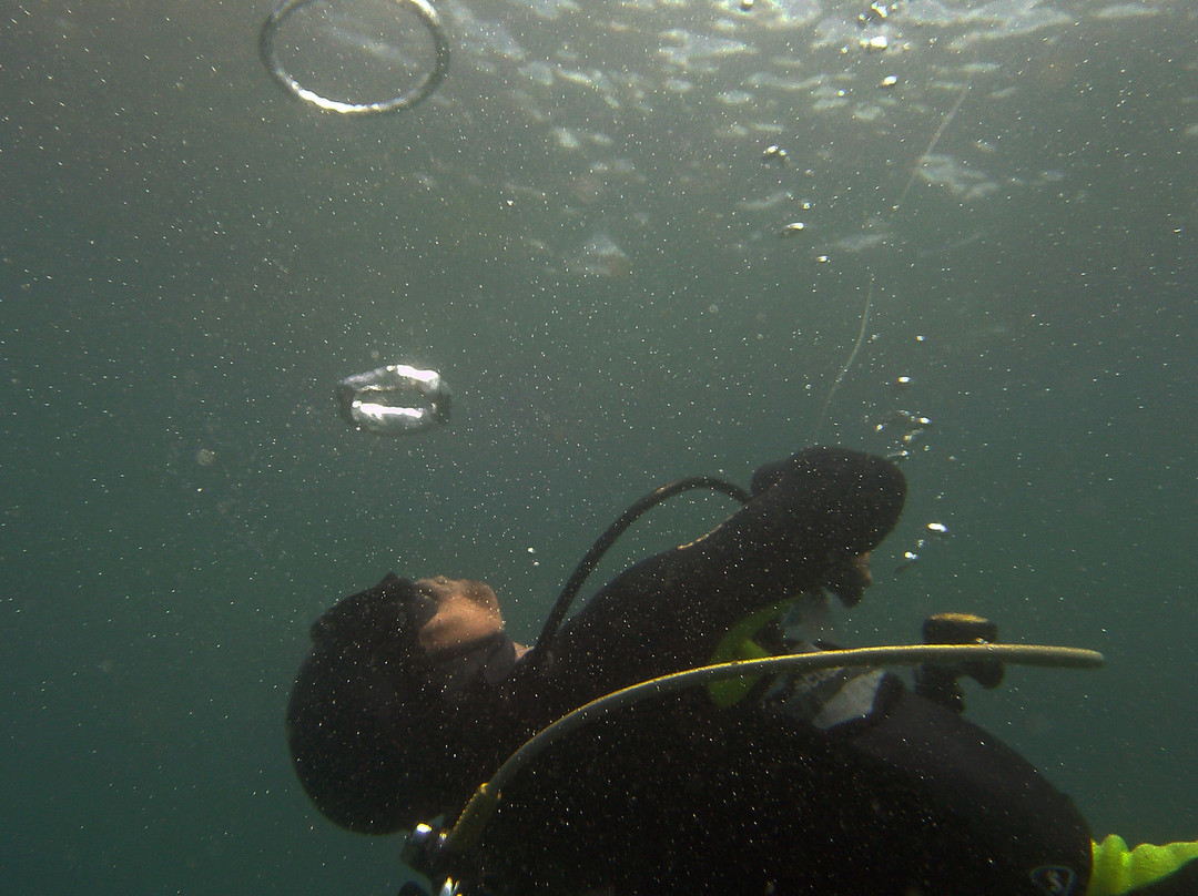 Shangrila Scuba Divers-Subagan必去景点