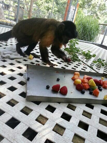 Heaven's Corner Zoo & Animal Sanctuary-West Alexandria必去景点