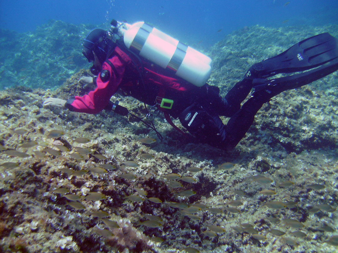 Ischia Diving-Ischia Porto必去景点