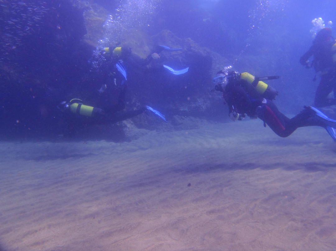 Lanzarote Dive Centre-卡门港必去景点