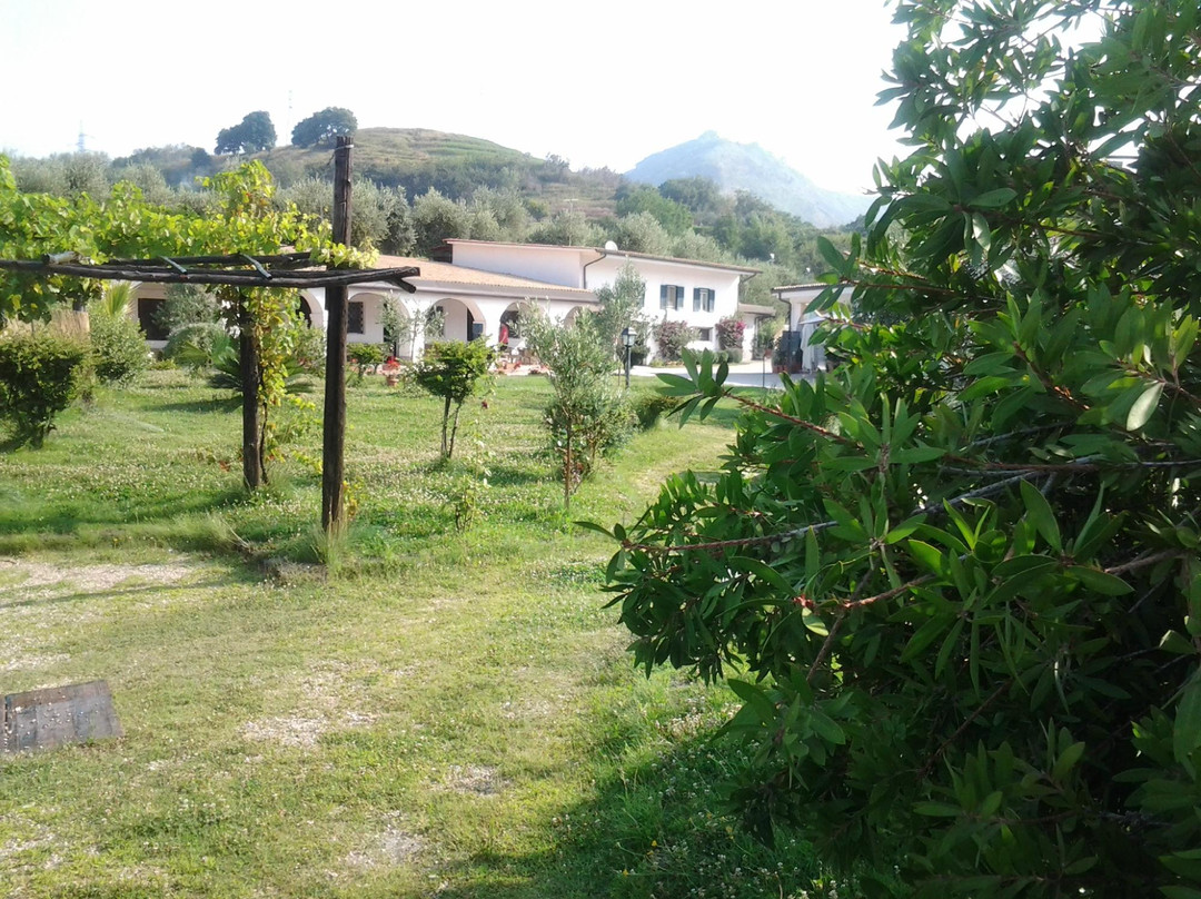 Tenuta Monte Sant'Angelo主图