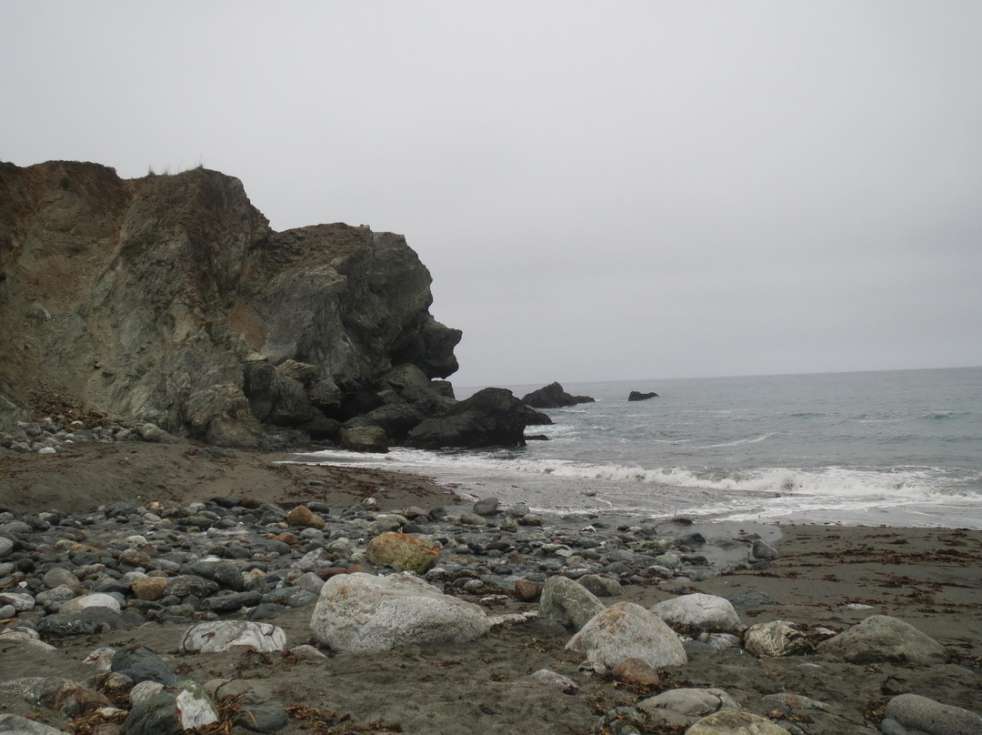 石灰窑州立公园-大苏尔必去景点