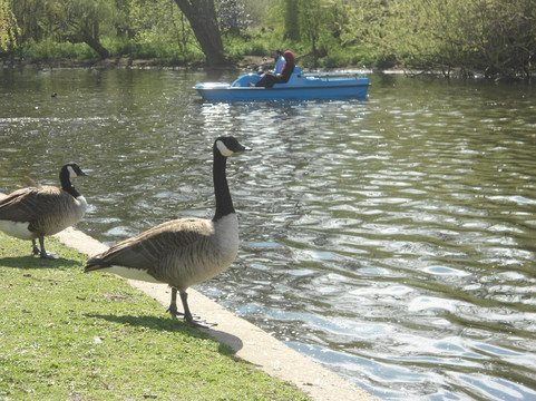 玛莉皇后花园-伦敦必去景点