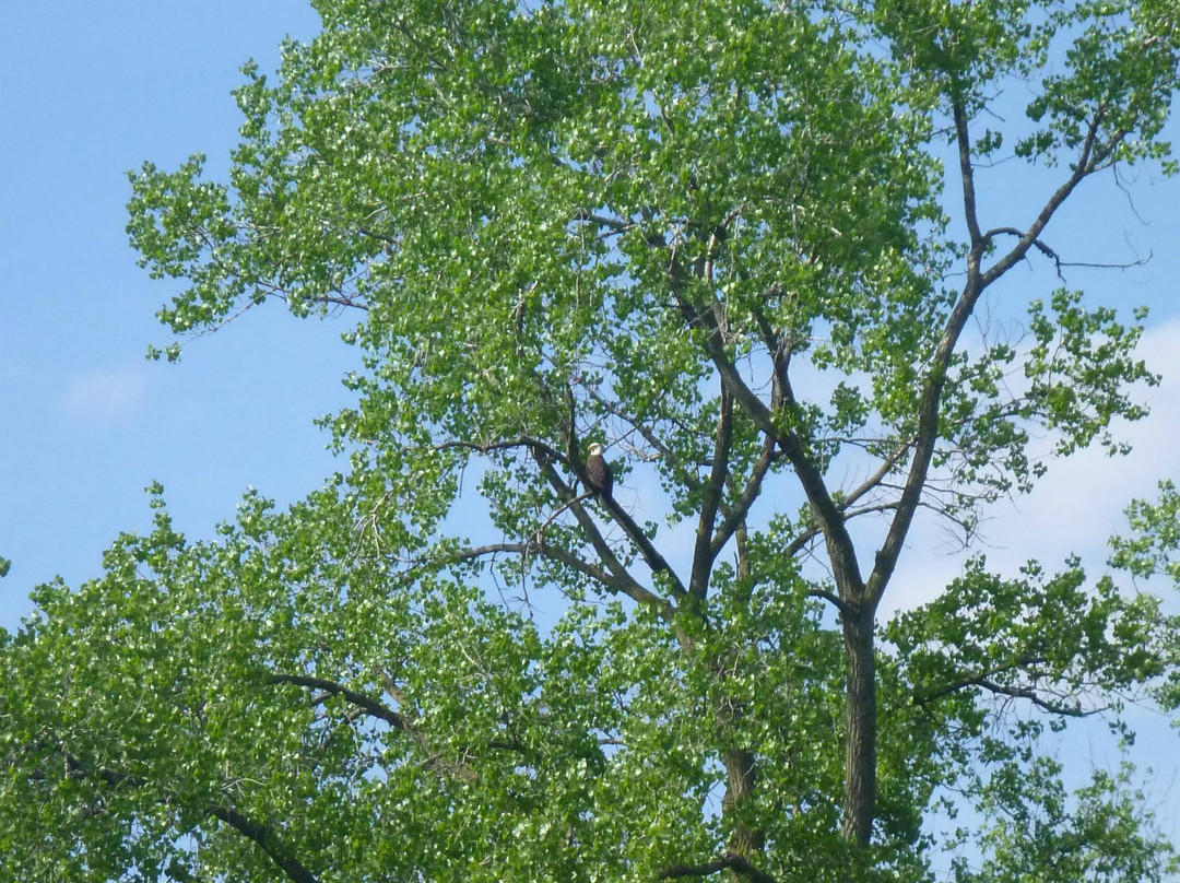 The Gear ReSource Outfitters-Dundas必去景点