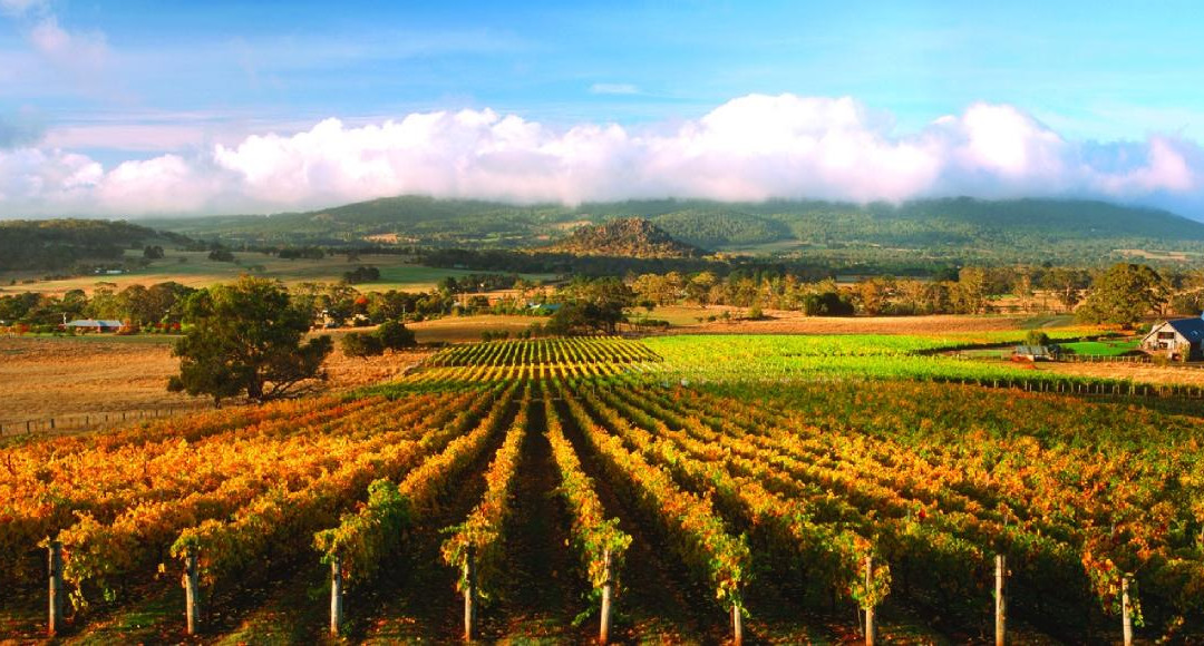 Hanging Rock Winery-Newham必去景点