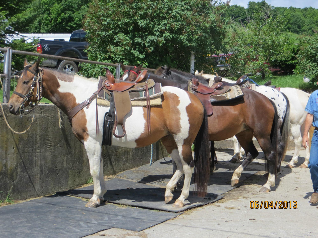 Mountain View Ranch-Danby必去景点