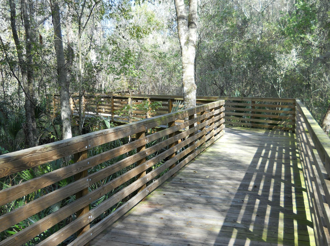 Eureka Springs Park-坦帕必去景点