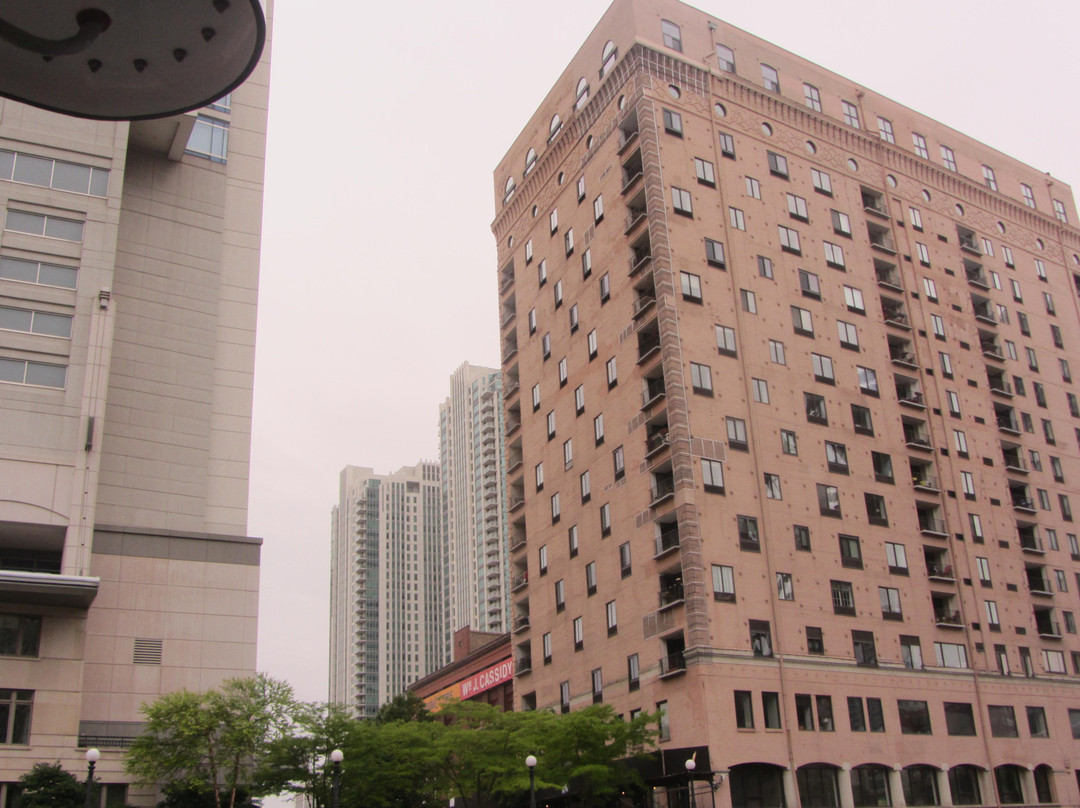 芝加哥第一女士建筑之旅-芝加哥必去景点