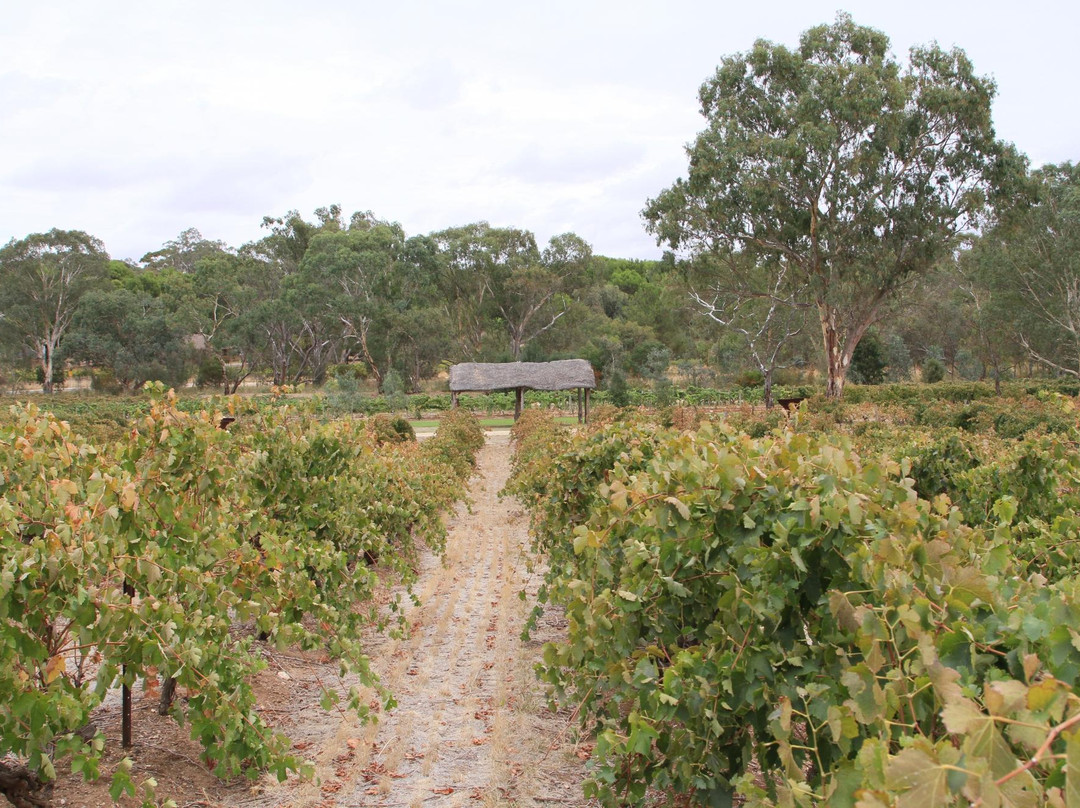 Langmeil Winery景点图片