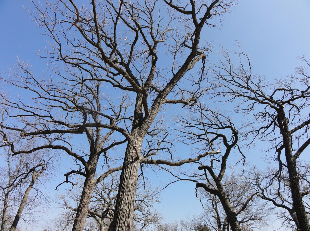 Vilas Park-麦迪逊必去景点