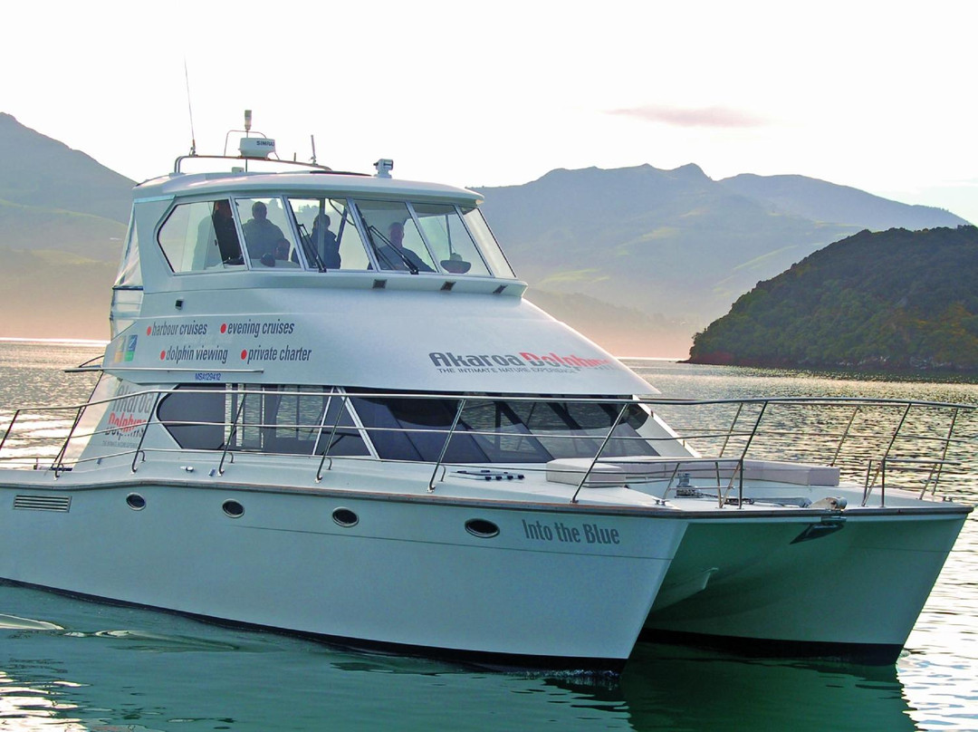 阿卡罗阿海豚观赏航行-阿卡罗阿必去景点