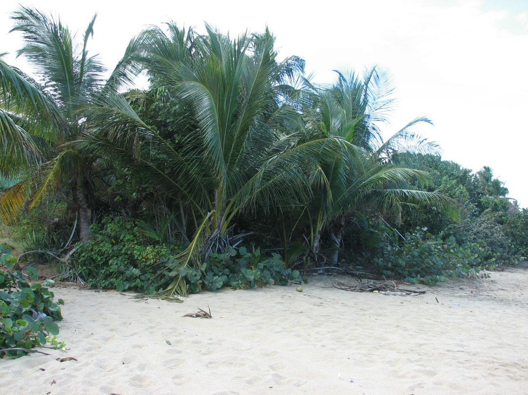 Playa Monte Santo-维切克岛必去景点