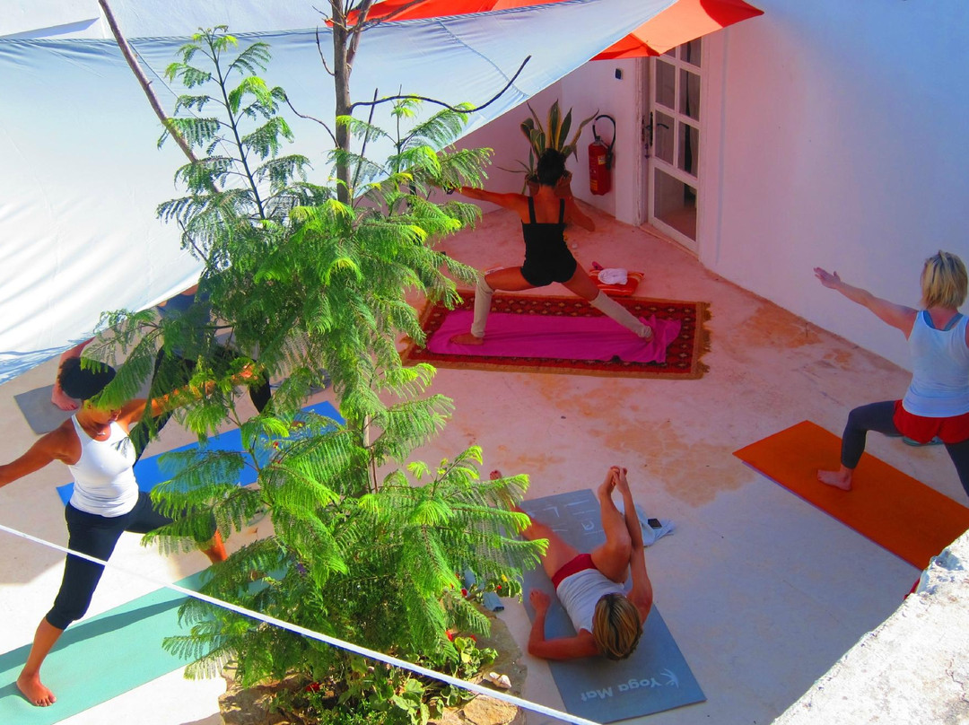 Lilypod Yoga景点图片