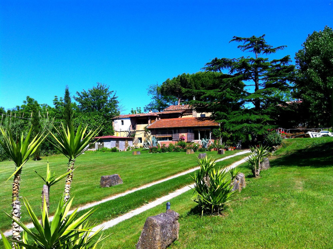 Podere Lupinaio
