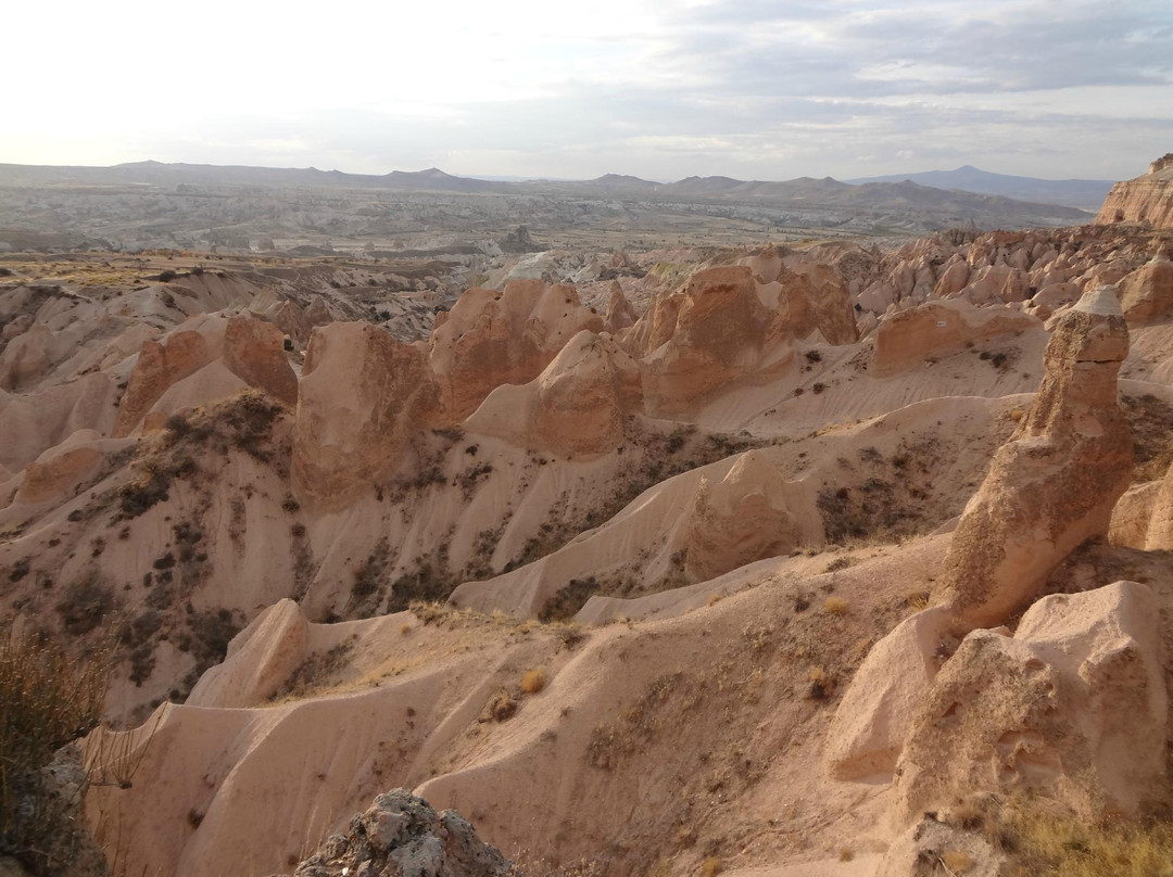 Red Valley Travel Agency Daily Tours景点图片