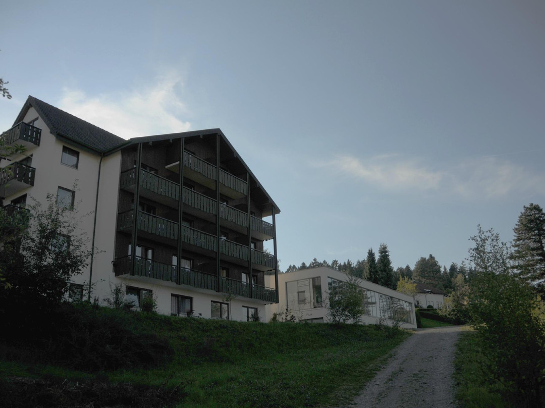 Wellnesshotel Hohenrodt ****主图