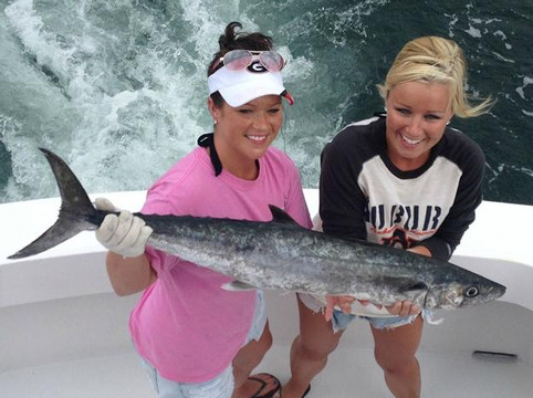 Getaway Charters-橙色海湾必去景点