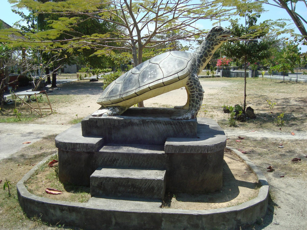 Bali Sharks景点图片