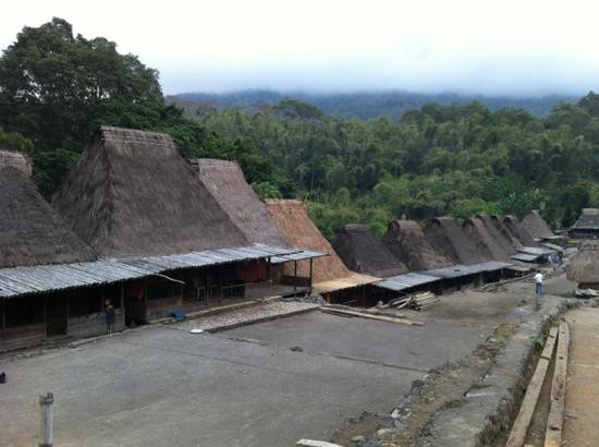Bena Traditional Village景点图片