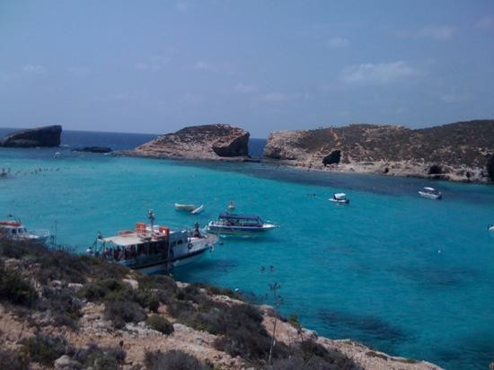 Hornblower Cruises-Bugibba必去景点