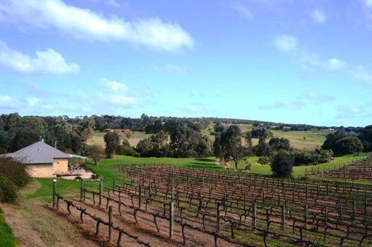 Cape Naturaliste Vineyard-雅林角必去景点