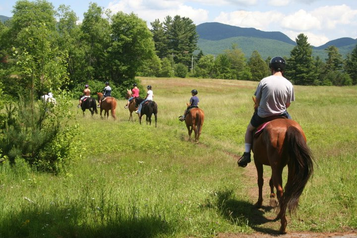 Adirondack Equine Center-普莱西德湖必去景点