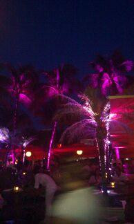 海洋大道-迈阿密海滩必去景点