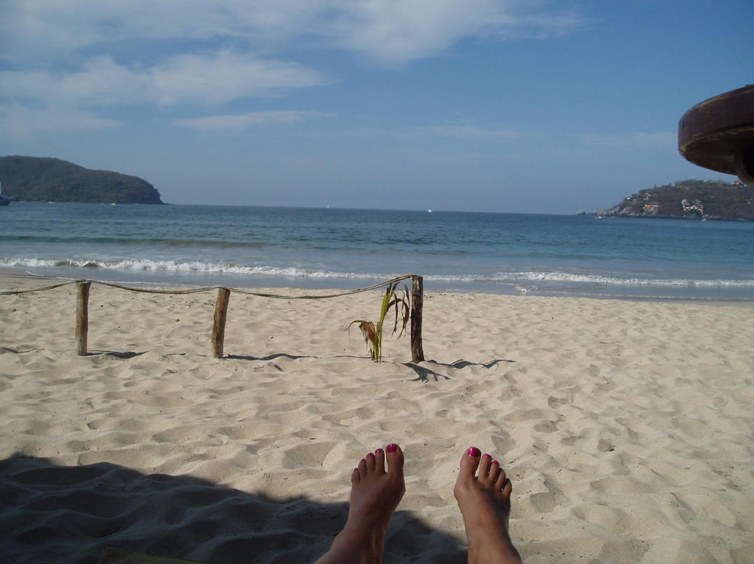 Bahía de Zihuatanejo景点图片