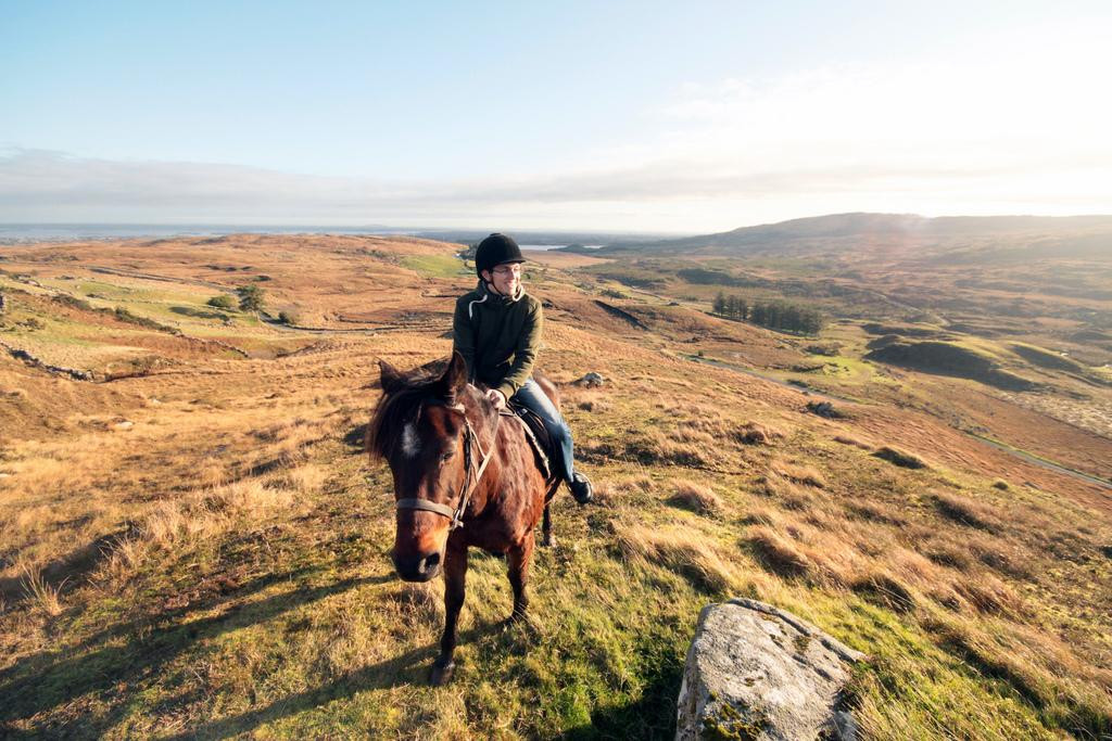 Knockillaree Riding Centre-Oughterard必去景点