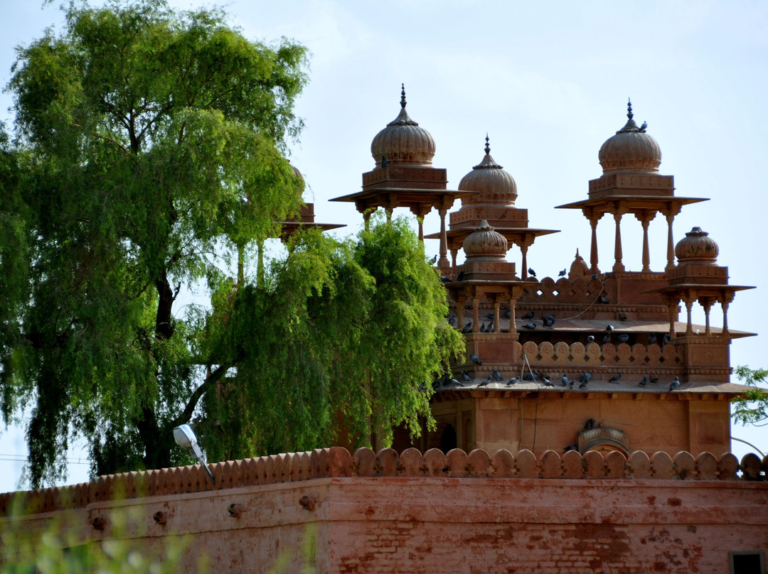 Lalgarh Palace and Museum景点图片