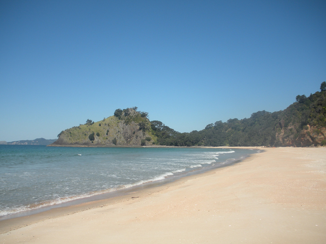 New Chums Beach景点图片
